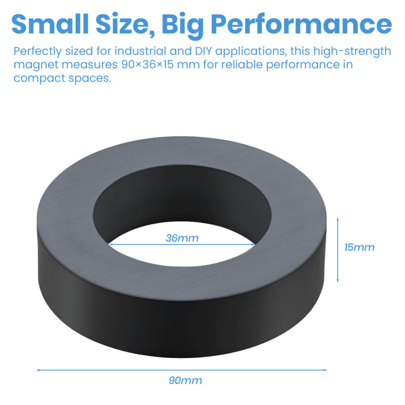 SSEA Super Big Circle Magnets